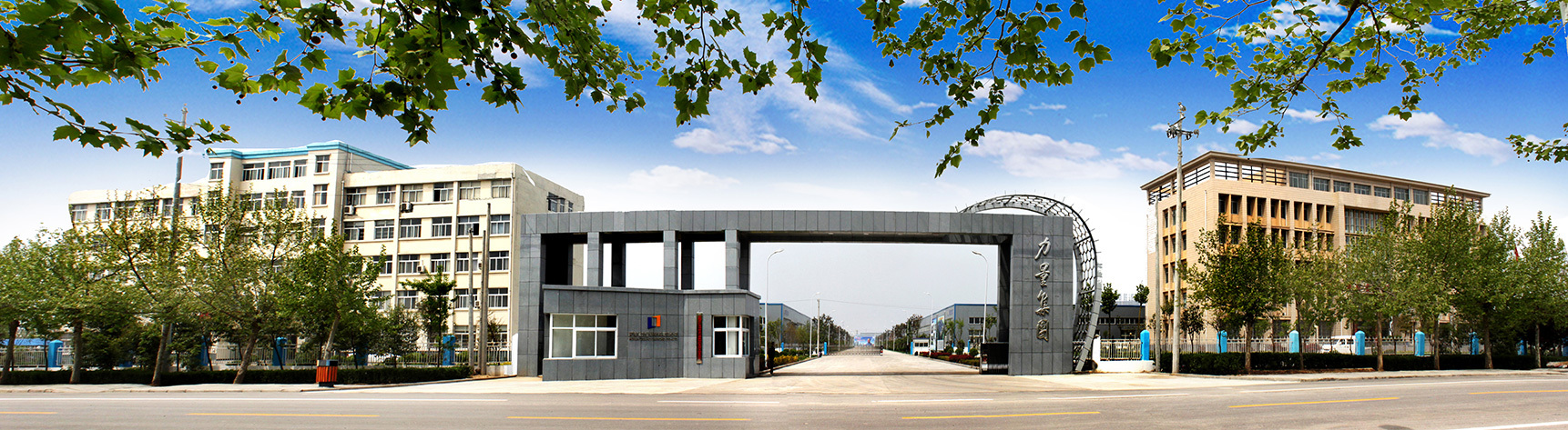 Viên kim cương lực lượng