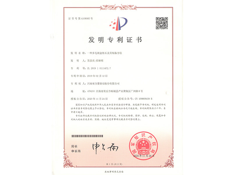 Chứng chỉ bằng sáng chế - Loại kim cương có gai nhiều lông và phương pháp chế tạo nó Chứng chỉ bằng sáng chế - Loại kim cương có gai nhiều lông và phương pháp chế tạo nó