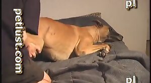 puss,dog-xxx