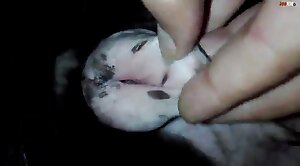 dude-porn,pussy