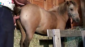 mare,slutty
