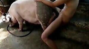 Animal Zoo Sex